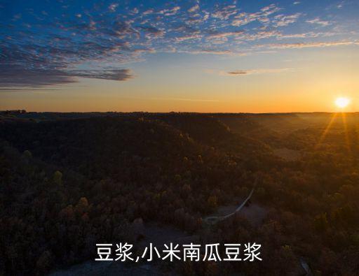 豆浆,小米南瓜豆浆