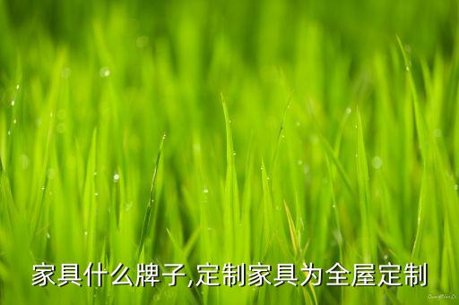 定制家具什么牌子,定制家具为全屋定制