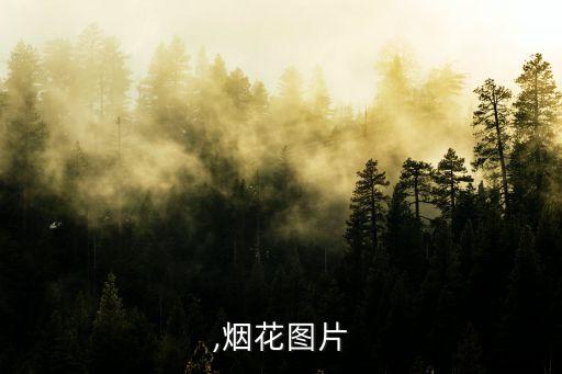 炮长,烟花图片