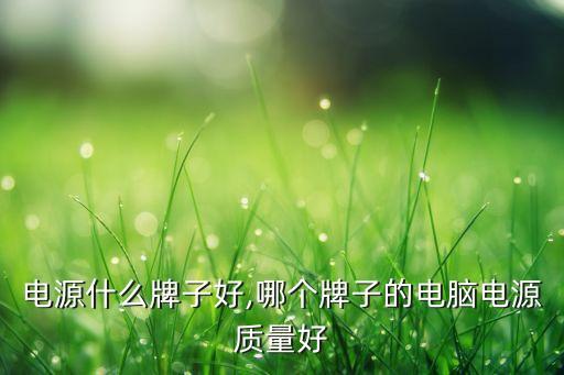 电源什么牌子好,哪个牌子的电脑电源质量好