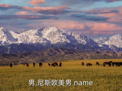 男,尼斯欧美男 name