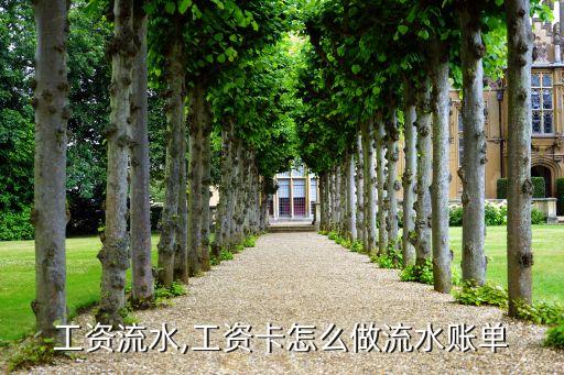 工资流水,工资卡怎么做流水账单