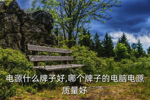 白金电源什么牌子好,哪个牌子的电脑电源质量好?