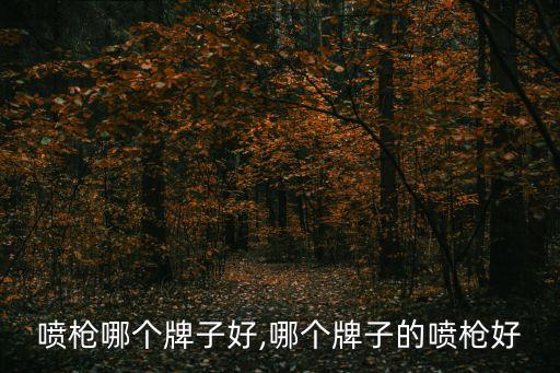 烘焙喷枪哪个牌子好,哪个牌子的喷枪好?