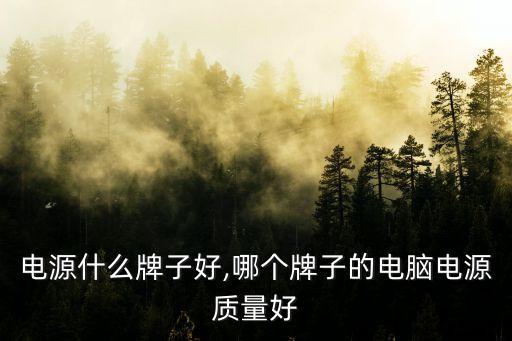 电源什么牌子好,哪个牌子的电脑电源质量好