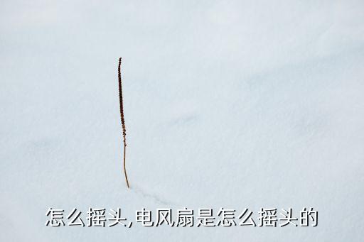 怎么摇头,电风扇是怎么摇头的