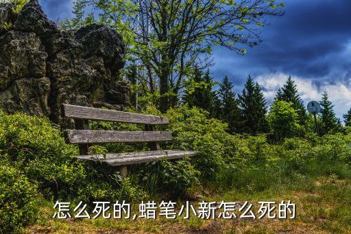小新怎么死的,蜡笔小新怎么死的