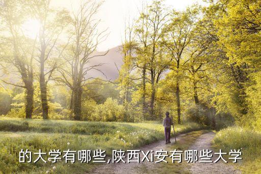 的大学有哪些,陕西Xi安有哪些大学