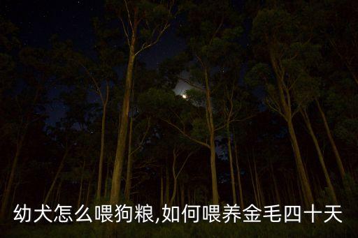 幼犬怎么喂狗粮,如何喂养金毛四十天