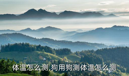 体温怎么测,狗用狗测体温怎么测