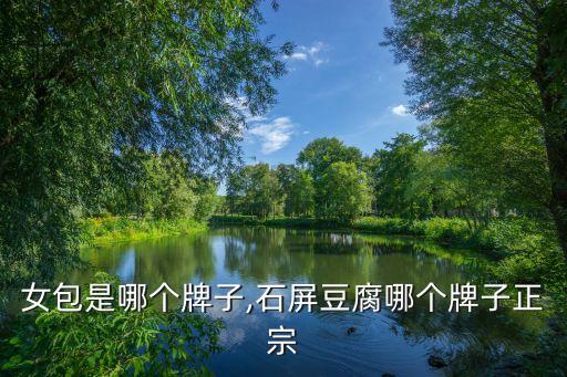女包是哪个牌子,石屏豆腐哪个牌子正宗
