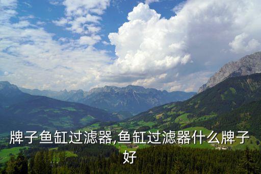 什么牌子鱼缸过滤器,鱼缸过滤器什么牌子好?