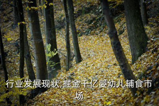 米粉行业发展现状,掘金千亿婴幼儿辅食市场