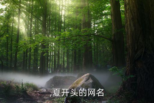 ,夏开头的网名