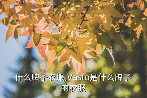 o2什么牌子衣服,Vasto是什么牌子的衣服?