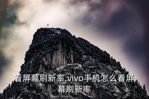怎么看屏幕刷新率,vivo手机怎么看屏幕刷新率