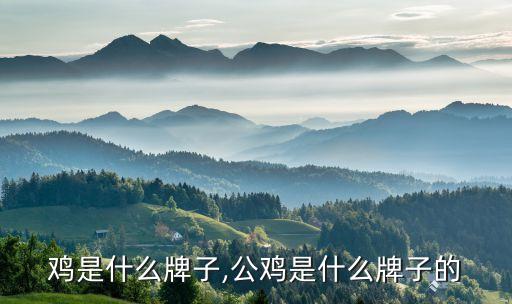 鸡是什么牌子,公鸡是什么牌子的