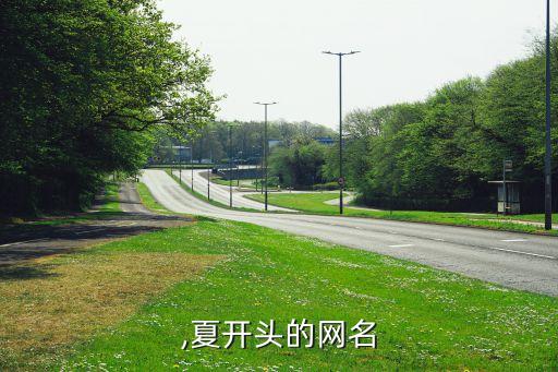 ,夏开头的网名