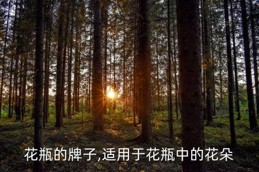 放在花瓶的牌子,适用于花瓶中的花朵