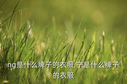 ting是什么牌子的衣服,宁是什么牌子的衣服?