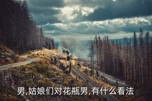 花瓶男,姑娘们对花瓶男,有什么看法?
