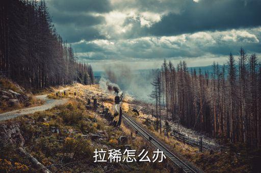 金毛拉稀怎么办