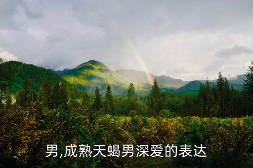 天蝎男,成熟天蝎男深爱的表达