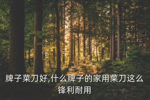 牌子菜刀好,什么牌子的家用菜刀这么锋利耐用