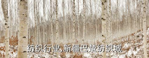 巴楚纺织行业,新疆巴楚纺织城