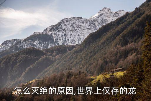 恐龙怎么灭绝的原因,世界上仅存的龙
