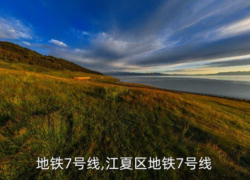 地铁7号线,江夏区地铁7号线
