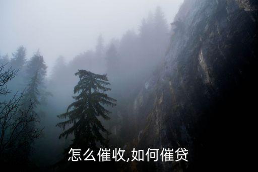 怎么催收,如何催贷