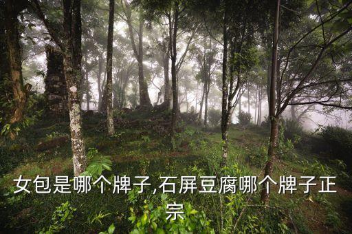 豆腐女包是哪个牌子,石屏豆腐哪个牌子正宗?