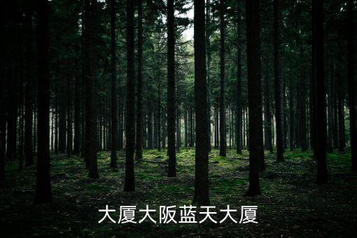 大厦大阪蓝天大厦