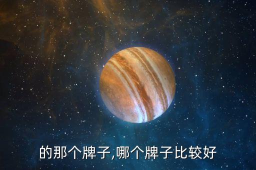 最好的那个牌子,哪个牌子比较好?