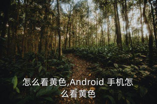 怎么看黄色,Android 手机怎么看黄色