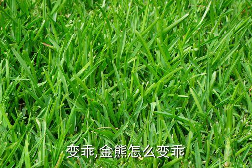 变乖,金熊怎么变乖