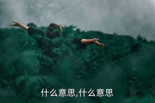 什么意思,什么意思