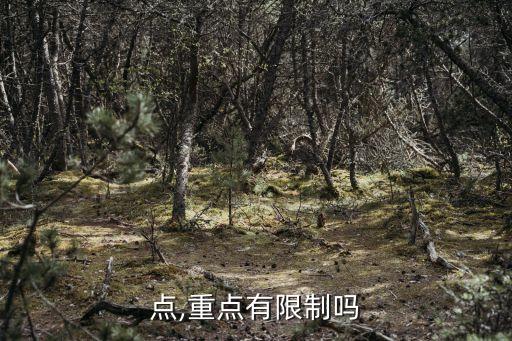 点,重点有限制吗