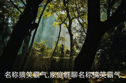 群聊名称搞笑霸气,家庭群聊名称搞笑霸气