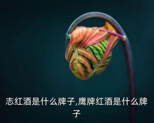 鹰标志红酒是什么牌子,鹰牌红酒是什么牌子?