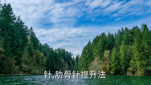 针,肋骨针提升法