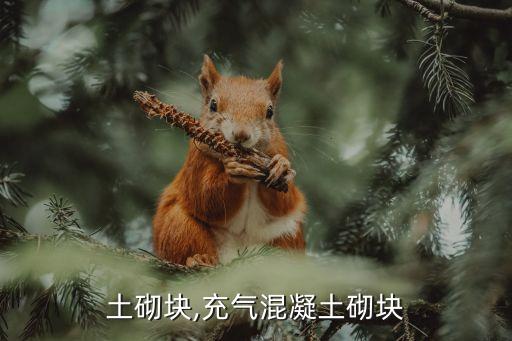 土砌块,充气混凝土砌块