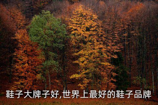 世界鞋子大牌子好,世界上最好的鞋子品牌