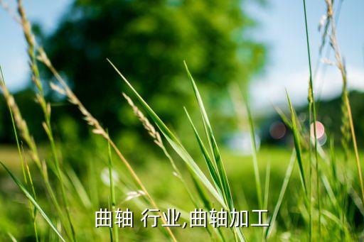 通机曲轴 行业,曲轴加工