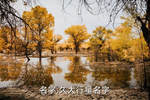 行星名字,久大行星名字