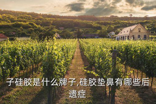 垫鼻子硅胶是什么牌子,硅胶垫鼻有哪些后遗症?