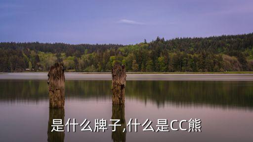 c熊是什么牌子,什么是CC熊?