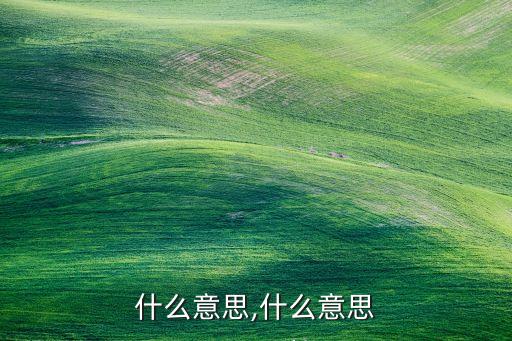 什么意思,什么意思