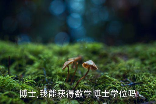 博士,我能获得数学博士学位吗